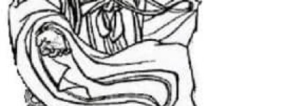 姬和【】 – 人物百科