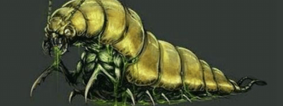 湘西蛊术是怎么来的？湘西十大蛊术分别是什么？_稗官野史 菊江历史网