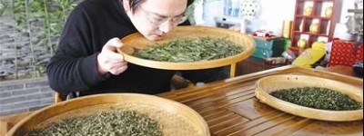 什么是品茶师？如何做好一名品茶师？_饮食文化 菊江历史网