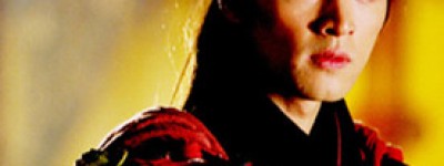 杨延昭简介_杨延昭的儿子_杨延昭的故事_杨延昭怎么死的 菊江历史网