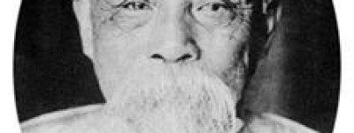 卢木斋简介_卢木斋的儿子_卢木斋的故事_卢木斋怎么死的 菊江历史网