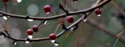 诸侯列国都是24个节气，齐国却有30个节气_乡村野史 菊江历史网