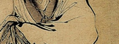 务光简介_务光的儿子_务光的故事_务光怎么死的 菊江历史网