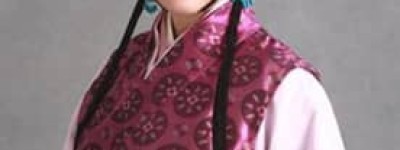 赵姨娘【贾政之妾、贾环探春之母】 – 人物百科