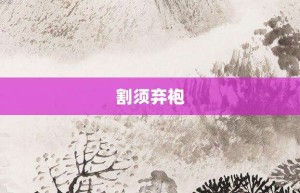 割须弃袍【割须弃袍的意思】- 成语大全