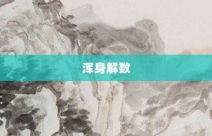 浑身解数【浑身解数的意思】- 成语大全