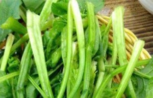 饮食搭配让男人保“精力”_饮食文化 菊江历史网