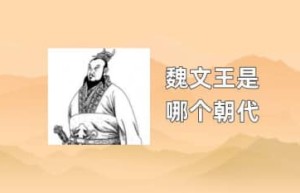 魏文王是哪个朝代_春秋战国历史 菊江历史网