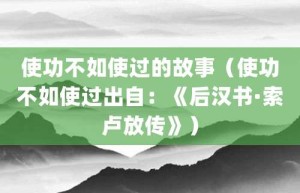 使功不如使过的故事（使功不如使过出自：《后汉书·索卢放传》）_成语故事 菊江历史网