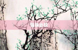 锱铢必较【锱铢必较的意思】- 成语大全