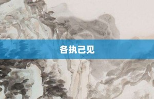 各执己见【各执己见的意思】- 成语大全