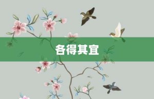 各得其宜【各得其宜的意思】- 成语大全