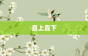 直上直下【直上直下的意思】- 成语大全