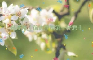 杨茂搜【前仇池国第一任君主】 – 人物百科