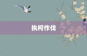 执柯作伐【执柯作伐的意思】- 成语大全