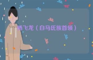 杨飞龙【白马氐族首领】 – 人物百科