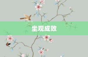 坐观成败【坐观成败的意思】- 成语大全