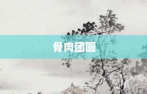 骨肉团圆【骨肉团圆的意思】- 成语大全