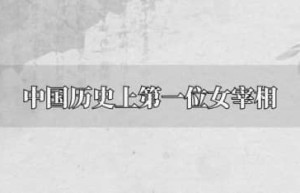 历史上第一个女宰相（小臣妥，商王武丁的王妃妇妥）_唐朝历史 菊江历史网