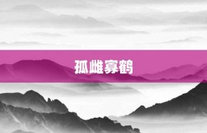 孤雌寡鹤【孤雌寡鹤的意思】- 成语大全