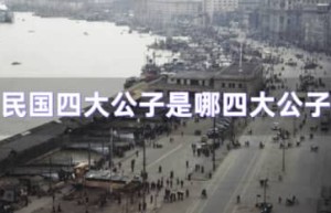 民国四公子（袁克文、张伯驹、张学良、溥侗）_民国历史 菊江历史网