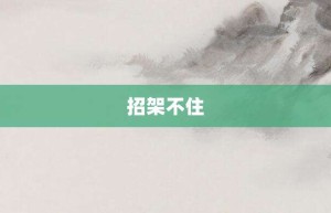 招架不住【招架不住的意思】- 成语大全