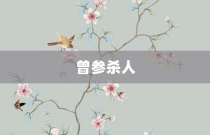 曾参杀人【曾参杀人的意思】- 成语大全