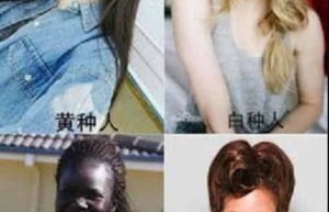 世界上四大人种分类，四大人种有何特征_世界近代史 菊江历史网