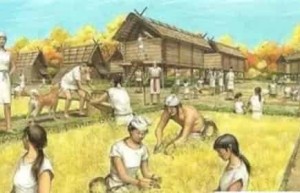 现在的日本民族究竟是从哪里来的？真正的日本人他们去了哪儿？_世界近代史 菊江历史网