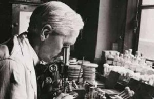 弗莱明发明了什么，弗莱明与青霉素的故事_世界近代史 菊江历史网