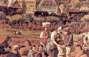 从衰落到复兴，中世纪西欧的农业耕作制度是如何形成的 菊江历史网