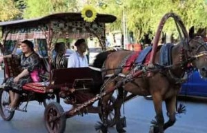 十三世纪的摩洛哥：马车在撒哈拉贸易中的地位 菊江历史网