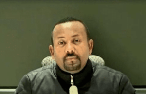 艾哈迈德·格拉纳：埃塞俄比亚的军事领袖和改革家_世界古代史 菊江历史网