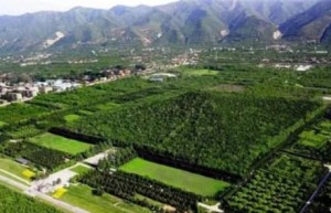 秦始皇陵长明灯为什么不灭（使用鲛人油当烛心）_稗官野史 菊江历史网