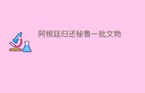 阿根廷归还秘鲁一批文物_民间艺术 菊江历史网