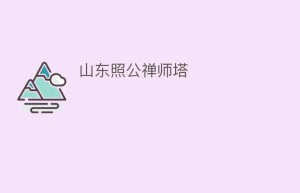 山东照公禅师塔_民间艺术 菊江历史网