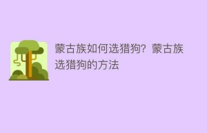 蒙古族如何选猎狗？蒙古族选猎狗的方法_民俗文化 菊江历史网