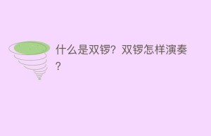 什么是双锣？双锣怎样演奏？_民俗文化 菊江历史网
