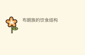 布朗族的饮食结构_饮食文化 菊江历史网