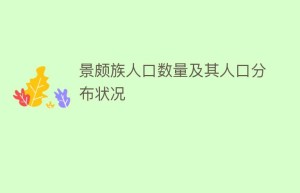 景颇族人口数量及其人口分布状况_民俗文化 菊江历史网