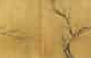 扬无咎【中国南宋词人，画家，善画梅】 – 人物百科