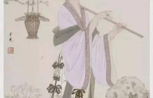 红楼梦中阆苑仙葩指的是什么，美玉无瑕指的是谁_稗官野史 菊江历史网