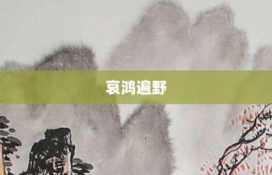 哀鸿遍野【哀鸿遍野的意思】- 成语大全