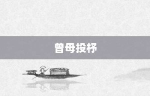 曾母投杼【曾母投杼的意思】- 成语大全