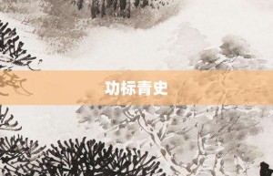 功标青史【功标青史的意思】- 成语大全