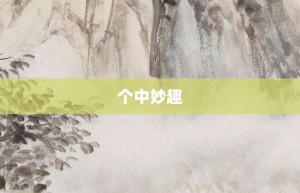 个中妙趣【个中妙趣的意思】- 成语大全