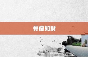 骨瘦如豺【骨瘦如豺的意思】- 成语大全