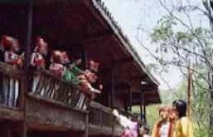 壮族风俗，壮族抛绣球习俗中蕴藏着什么文化内涵_民俗文化 菊江历史网