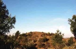 彝族文化，彝族向天坟是什么它有什么特别之处_民俗文化 菊江历史网