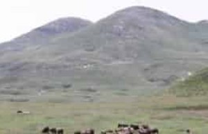 苗族迁徙史，苗族人都经历过几次历史性迁徙_民俗文化 菊江历史网